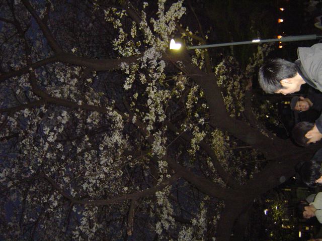 2004-04-01 18:26:00