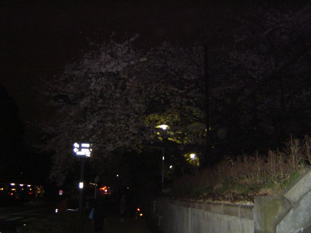 2004-04-01 21:48:14