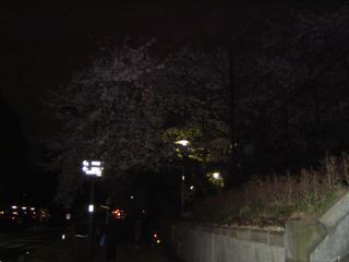 2004-04-01 21:48:14