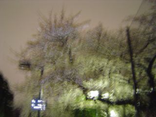 2004-04-01 21:48:32