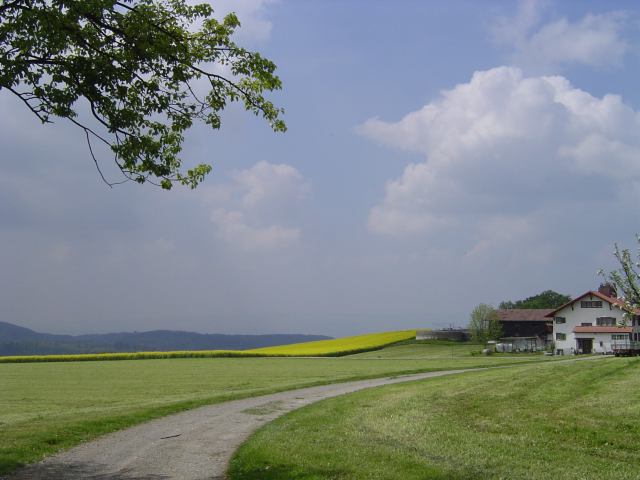 2004-05-16 19:14:41