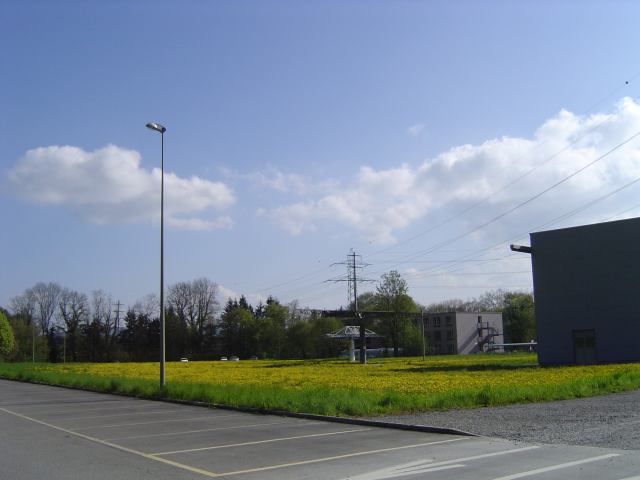 2004-04-25 16:56:17