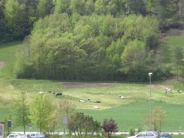 2004-05-01 21:32:50