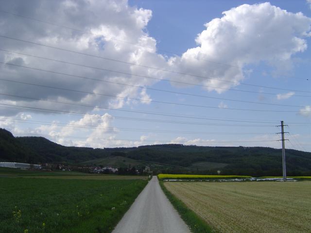 2004-05-02 23:48:17