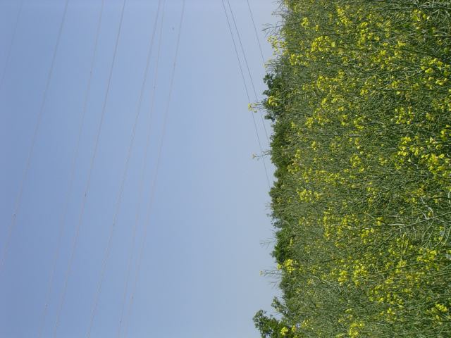 2004-05-25 22:31:10