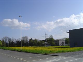 2004-04-25 16:56:17