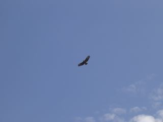 2004-05-01 21:37:09