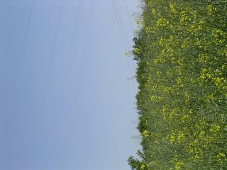 2004-05-25 22:31:10