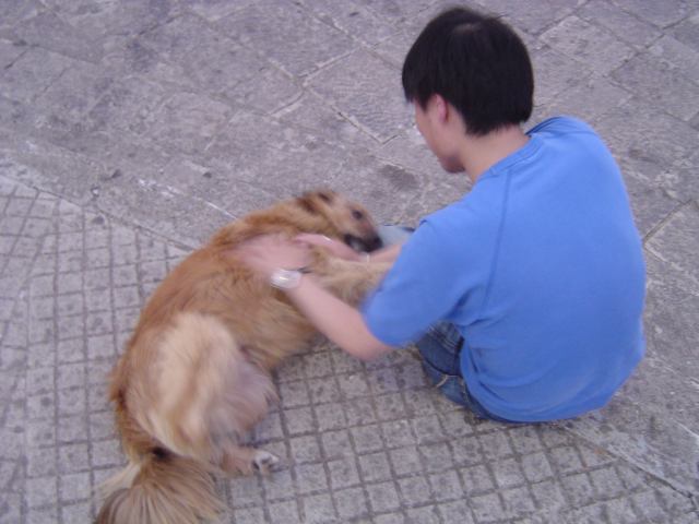 2005-06-22 03:38:19
