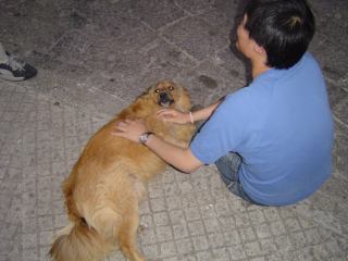 2005-06-22 03:38:24
