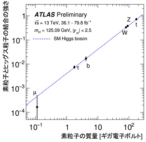 ヒッグスとの結合の強さを表す図