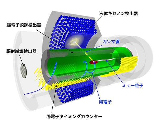 MEG II実験装置概観図