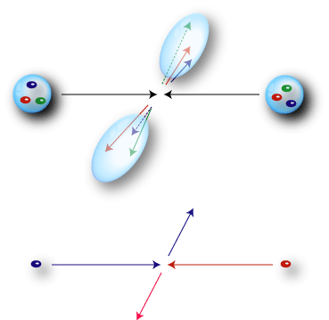 WW topology